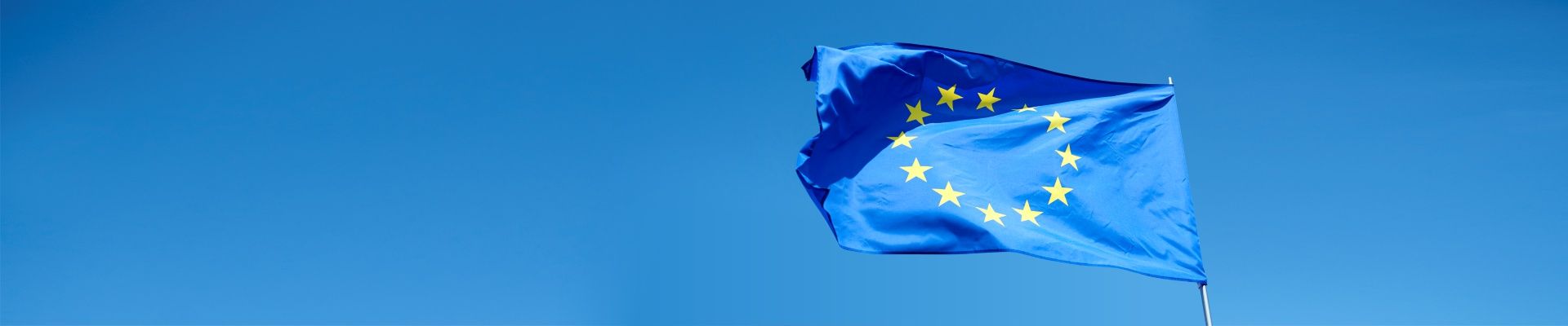 flaga unii europejskiej na tle jasnego nieba